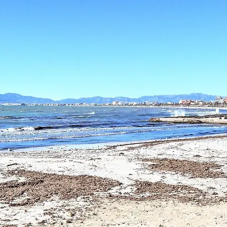 Newport 1 El Arenal (Mallorca)